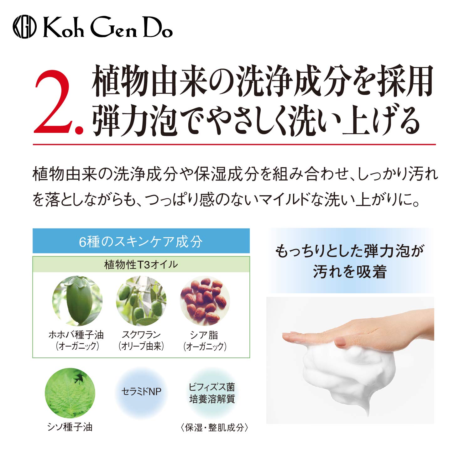 Amazon | コウゲンドウ(Koh Gen Do) 江原道 オリエンタルプランツ